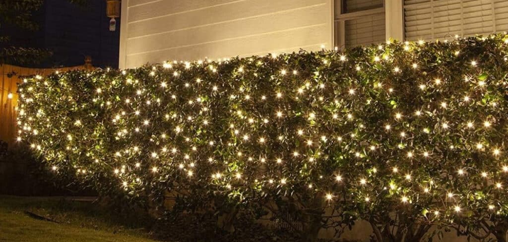 How to Put Net Lights on Shrubs