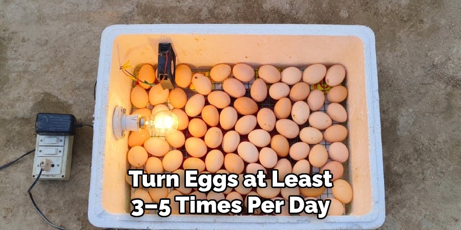 Turn Eggs at Least
3–5 Times Per Day
