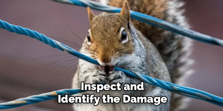 Inspect and Identify the Damage