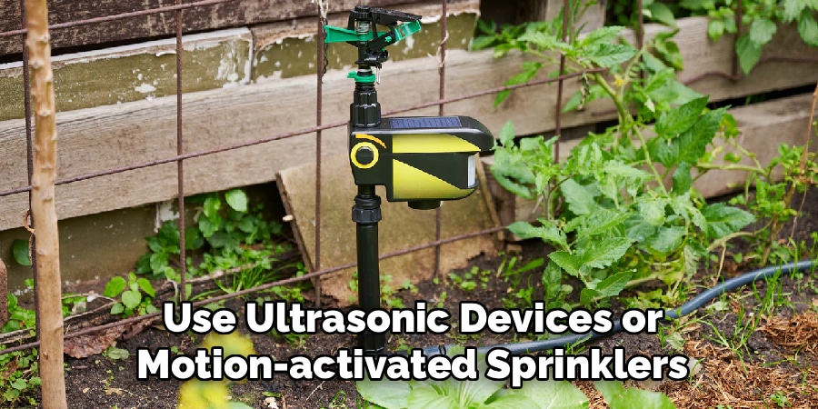 Use Ultrasonic Devices or
Motion-activated Sprinklers